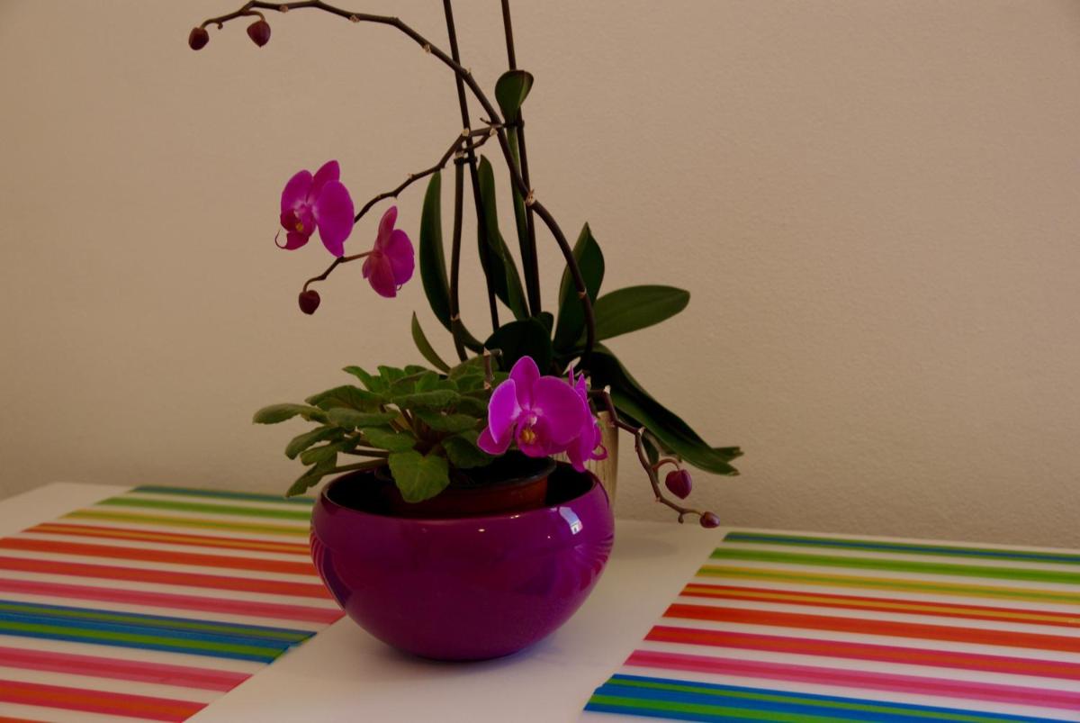 Hostel Humpolec - Housity