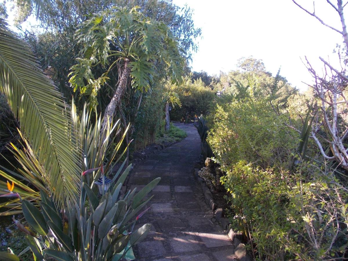 Jardín al aire libre en Hotel La Palma Romántica