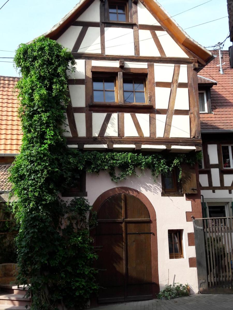 Comme une tour dans le centre Historique - Housity