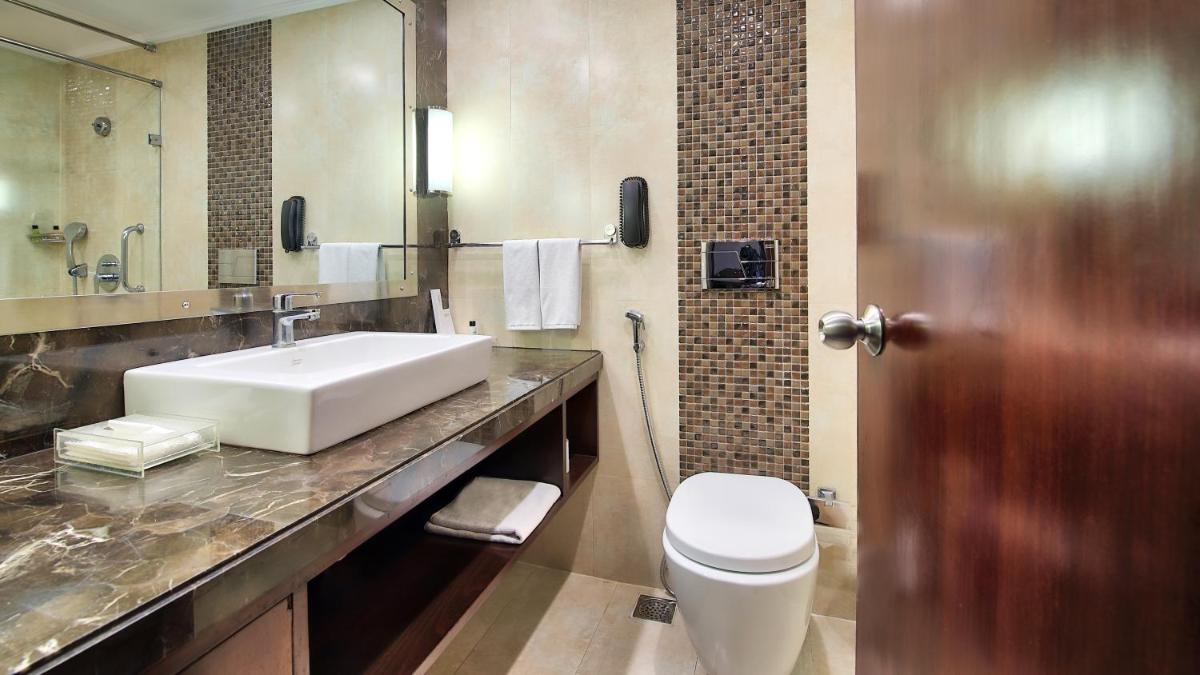 a bathroom with a sink and a toilet at Radisson Jaipur City Center in Jaipur