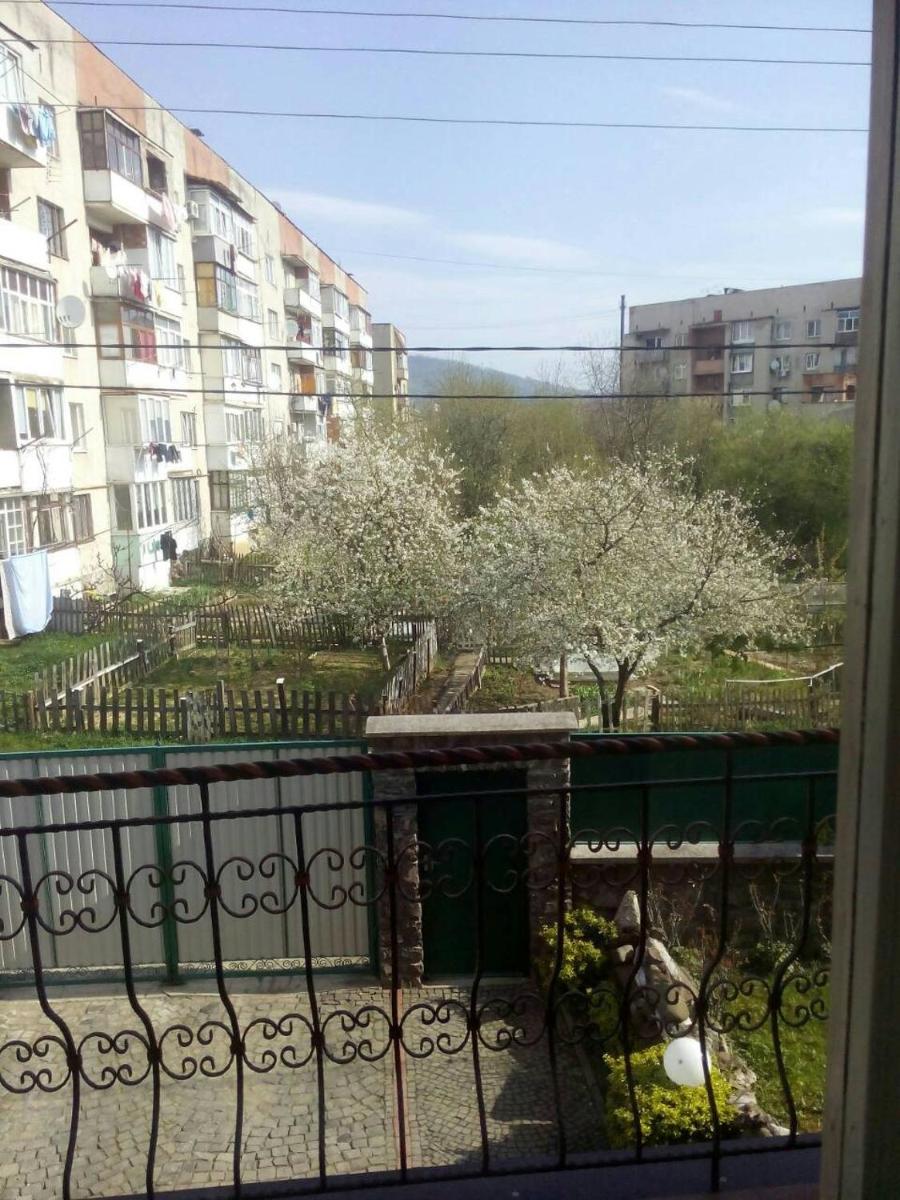 Domashnya Saduba - Housity