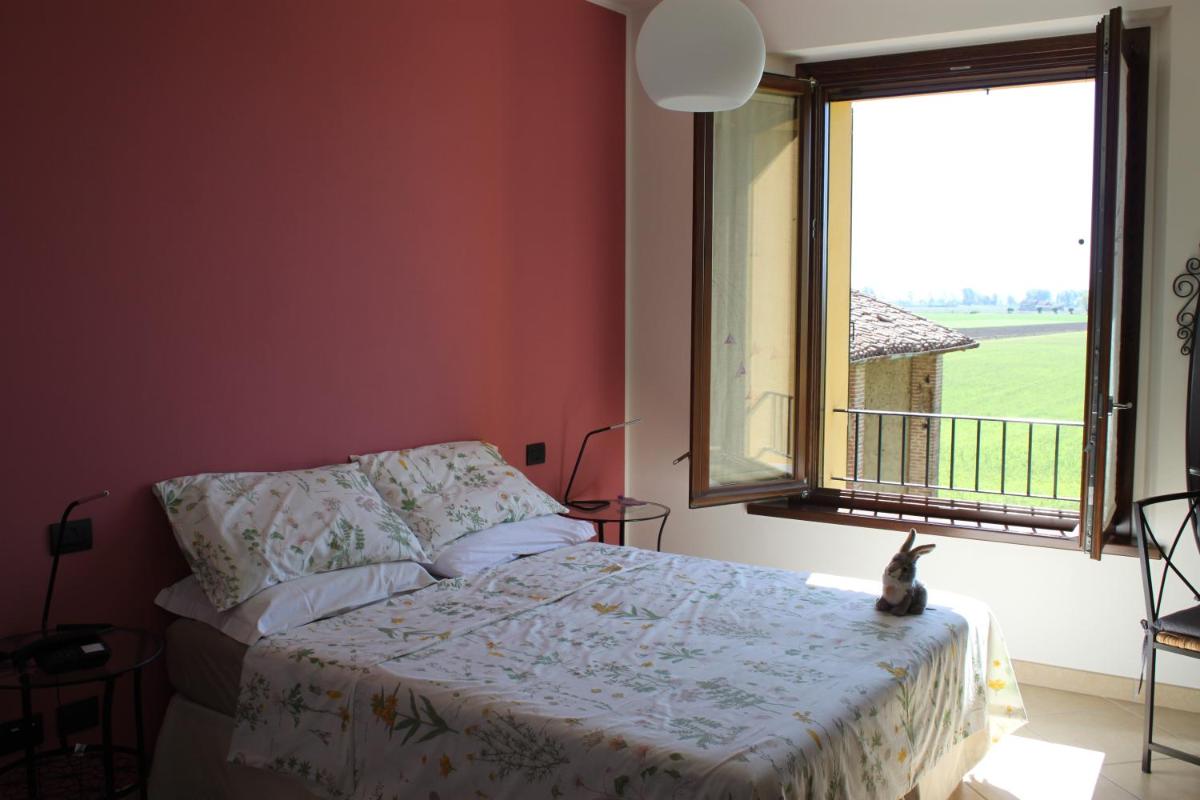 La casa dei gatti - Housity