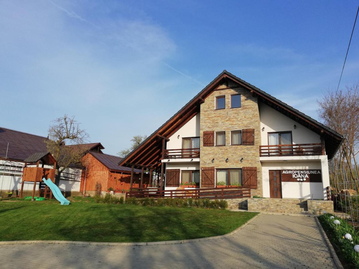 Agropensiunea Ioana - Housity