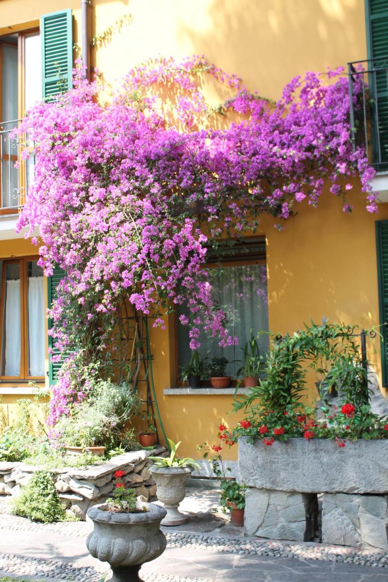 Hotel Centrale Bellagio - Hizvo