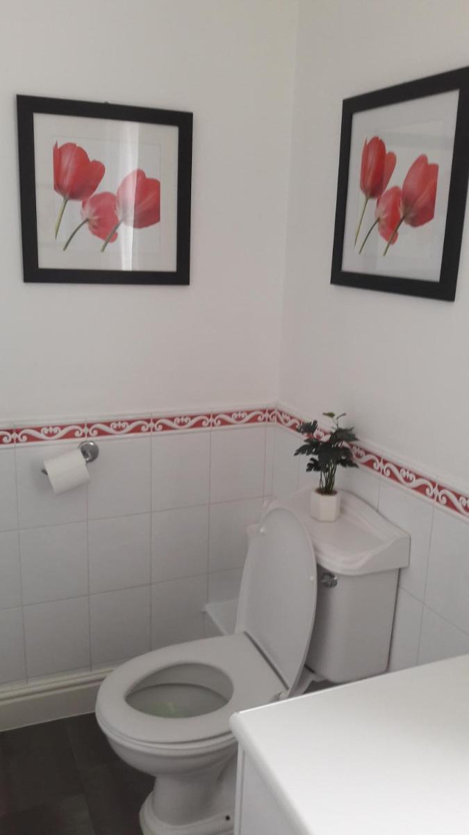 Bed And Blueberry - Housity