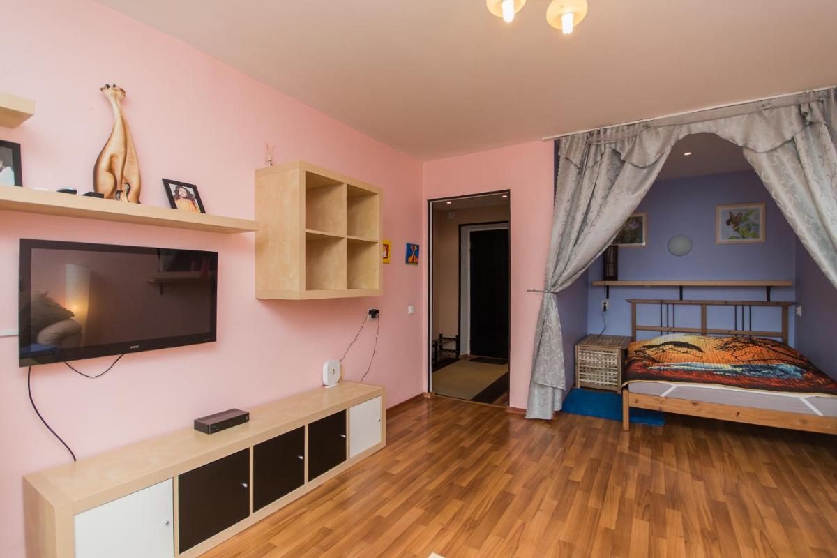 Apartament's Mayorov House at Maksima Gorkogo 154 - Housity