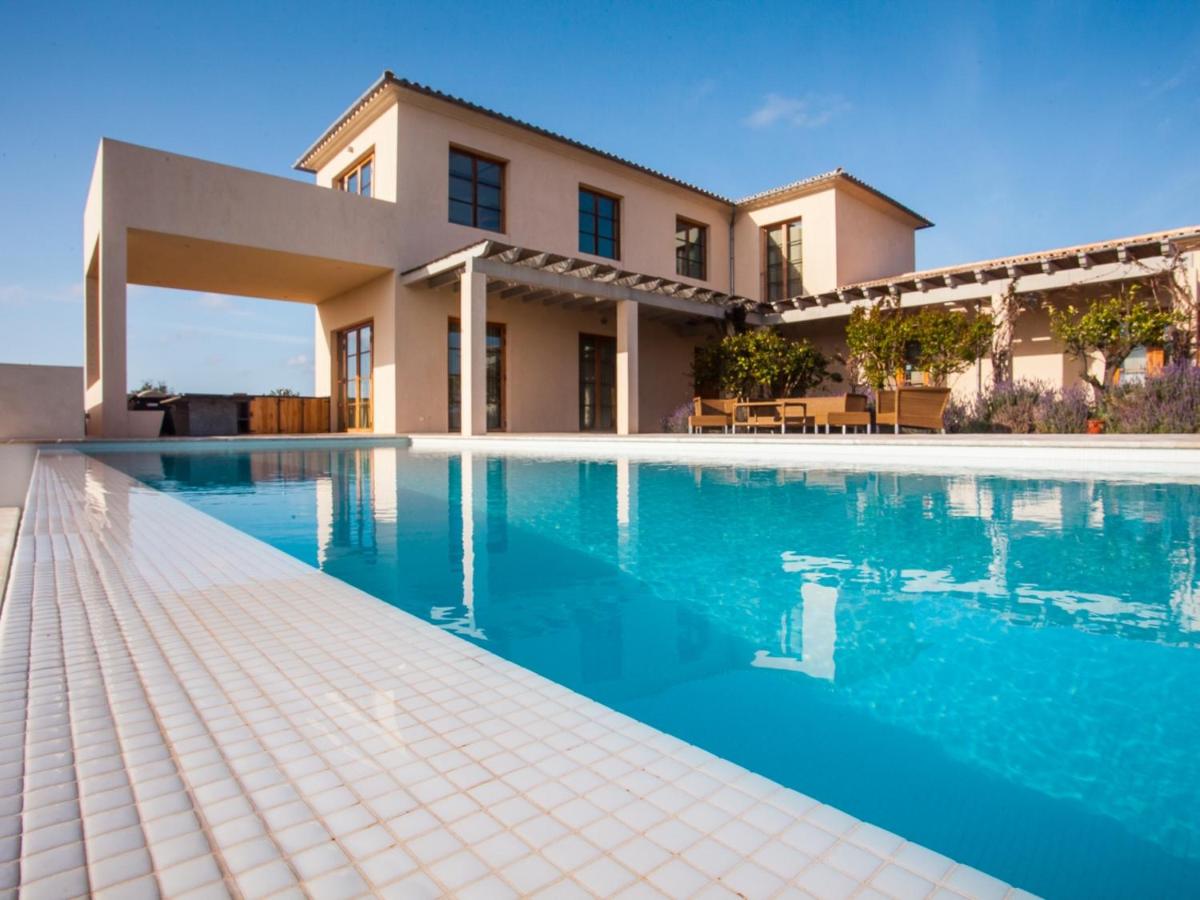 Villa Salamandra - Housity