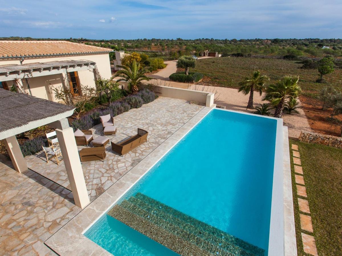 Villa Salamandra - Housity
