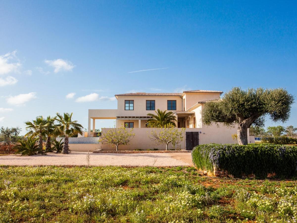 Villa Salamandra - Housity