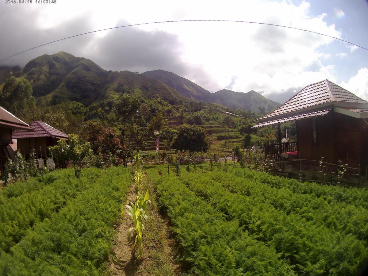 Bale Sembahulun Cottages & Tend - Housity
