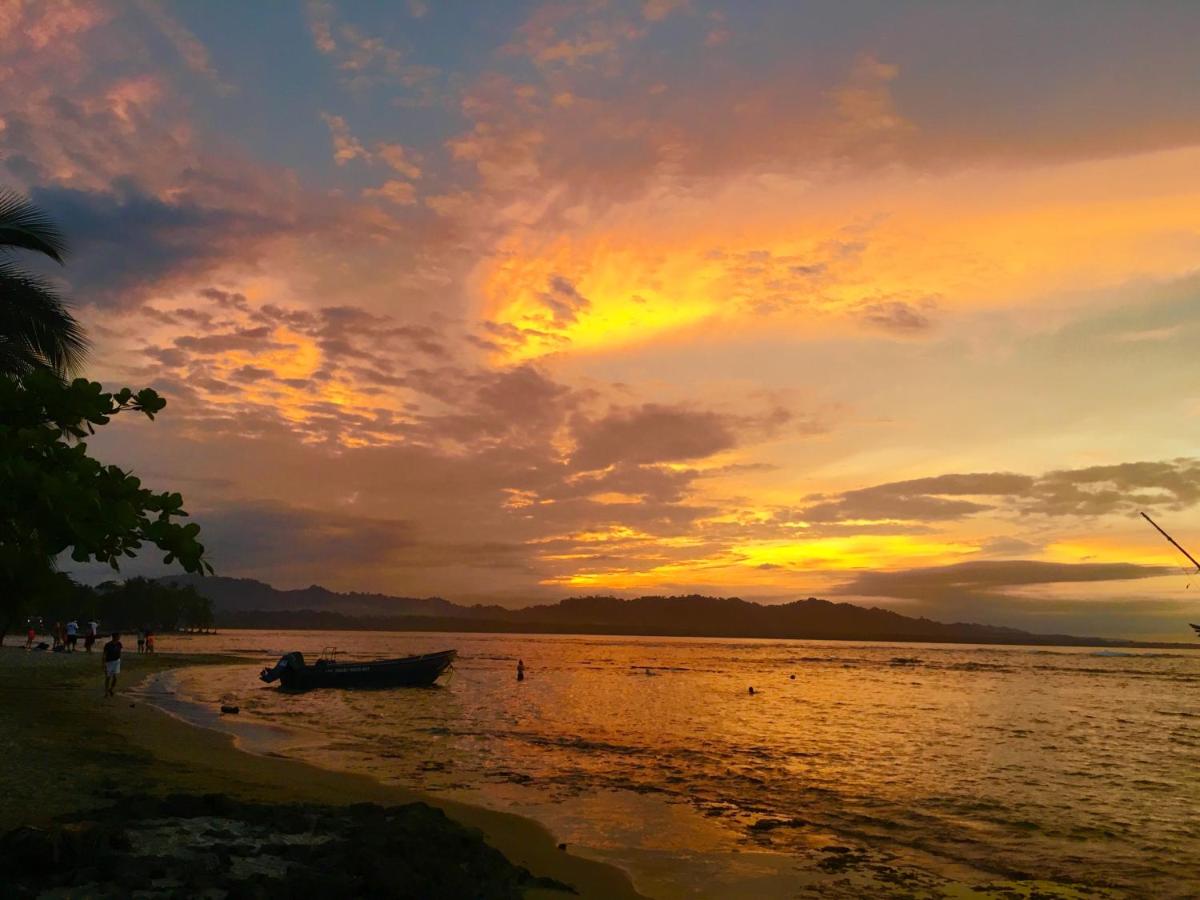 Hotel Faith Glamping Dome Costa Rica - Housity