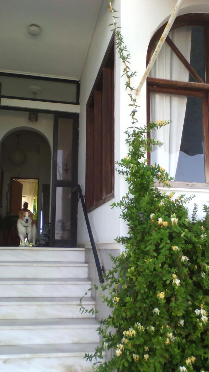 Papas Rooms on the Seafront - Housity