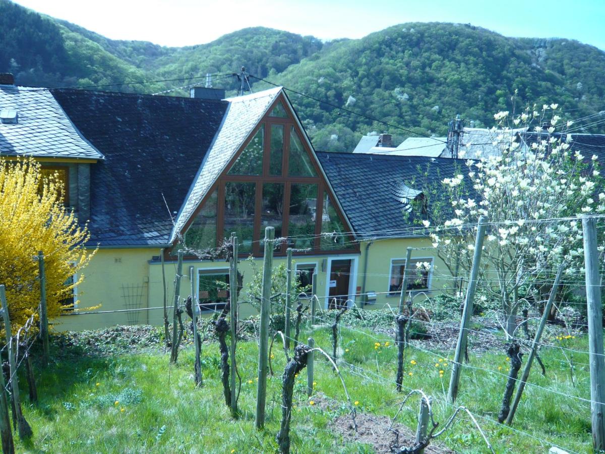 Pension am Weinberg - Housity