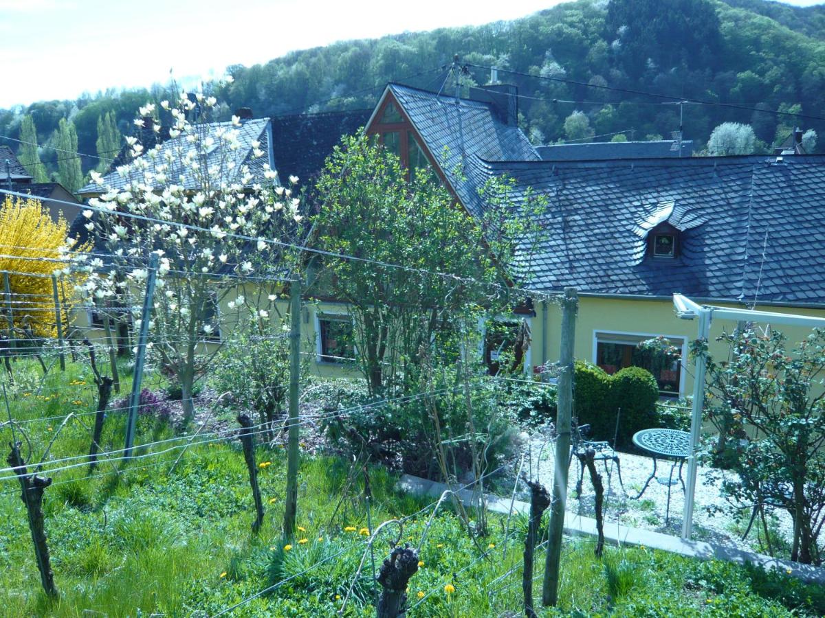 Pension am Weinberg - Housity