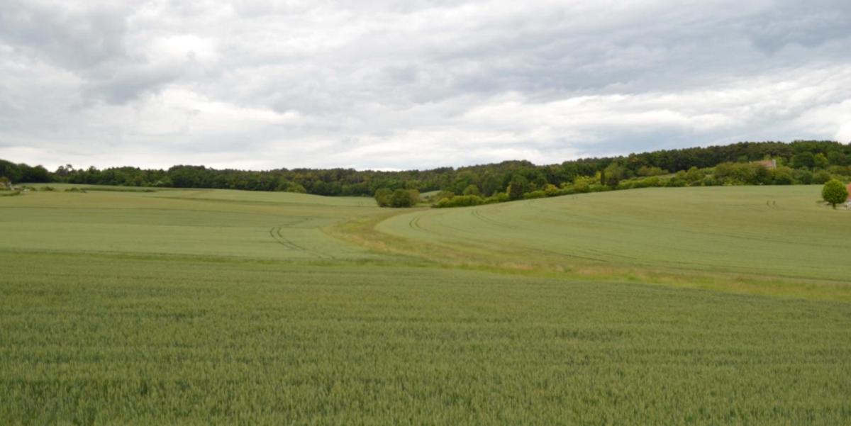 L'Abbesse - Housity