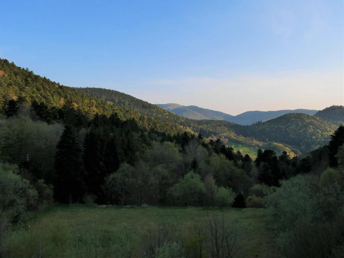 Paysage naturel près de l'hôtel