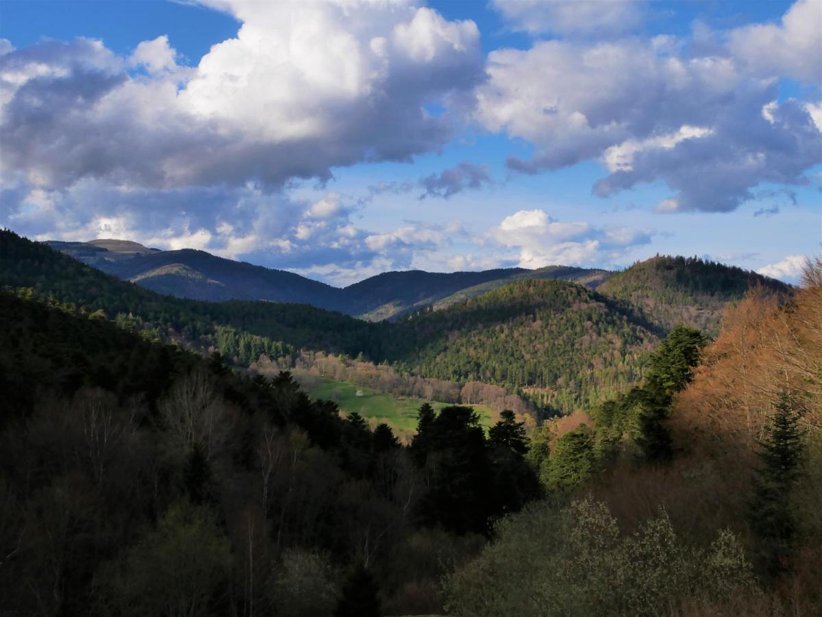 Paysage naturel près de l'hôtel