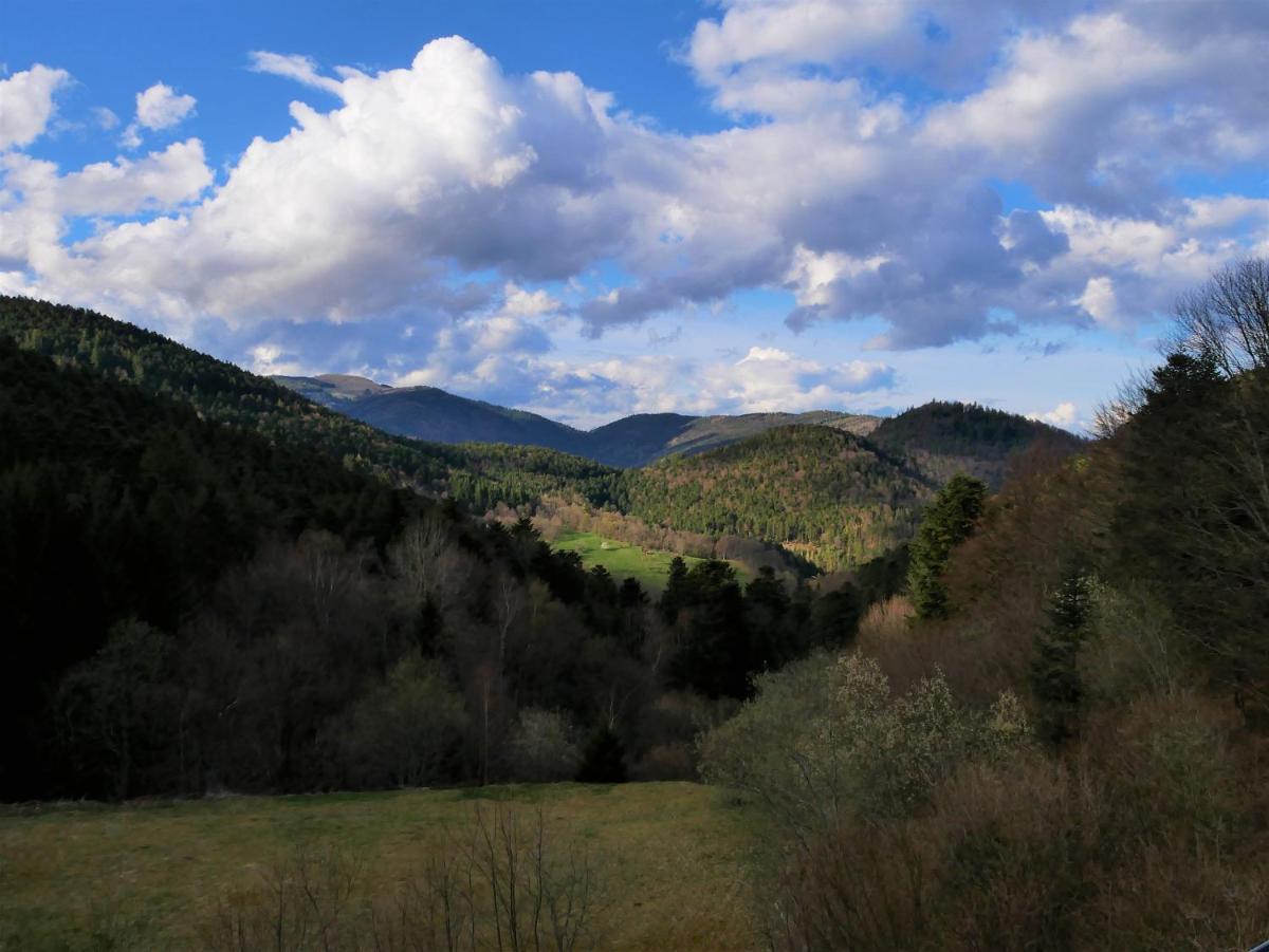 Paysage naturel près de l'hôtel