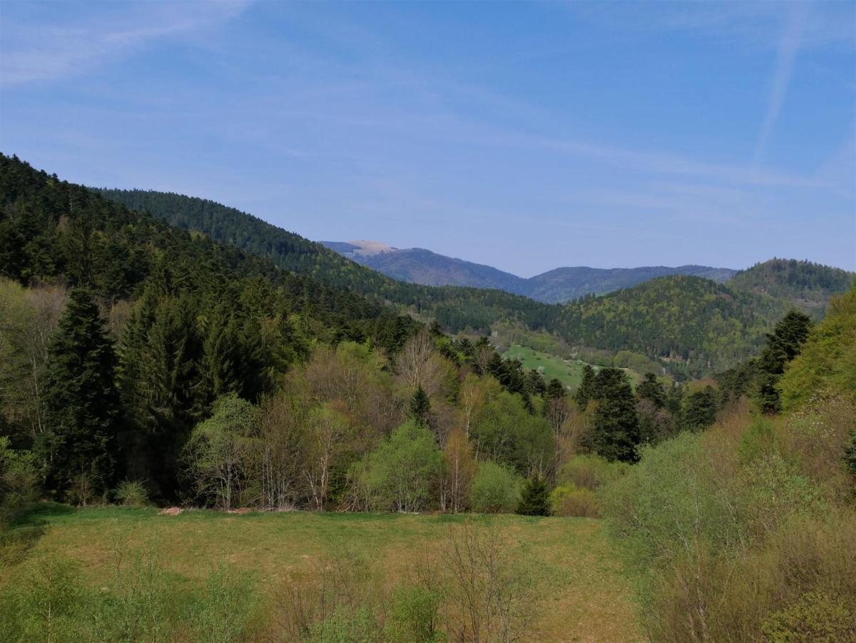 Paysage naturel près de l'hôtel