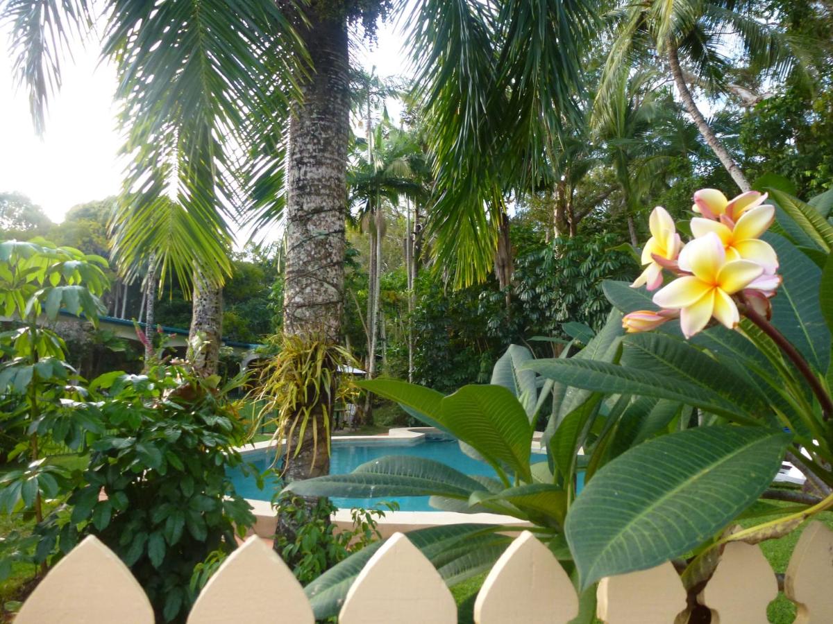 Villa Marine Holiday Apartments Cairns - Housity