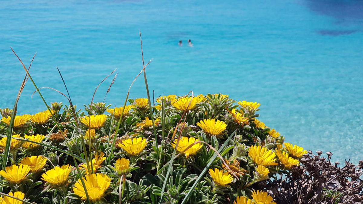 Cala Morlanda - Housity