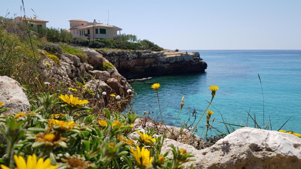 Cala Morlanda - Housity