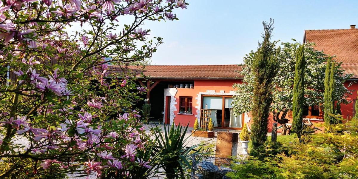Gîte au centre de l'alsace - Housity