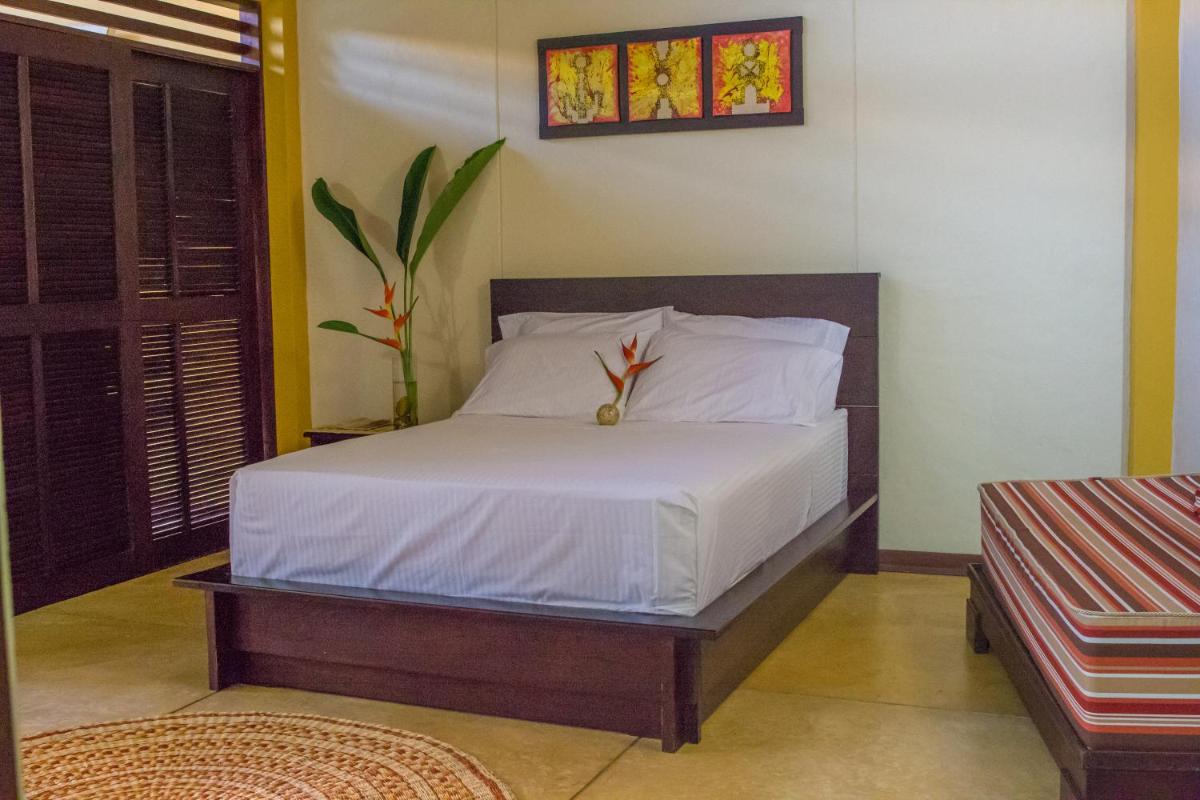 Hotel Amazon Bed And Breakfast - Housity