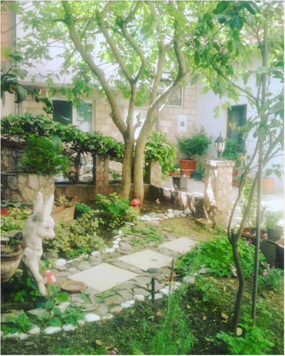 Guest House Mirza - Housity