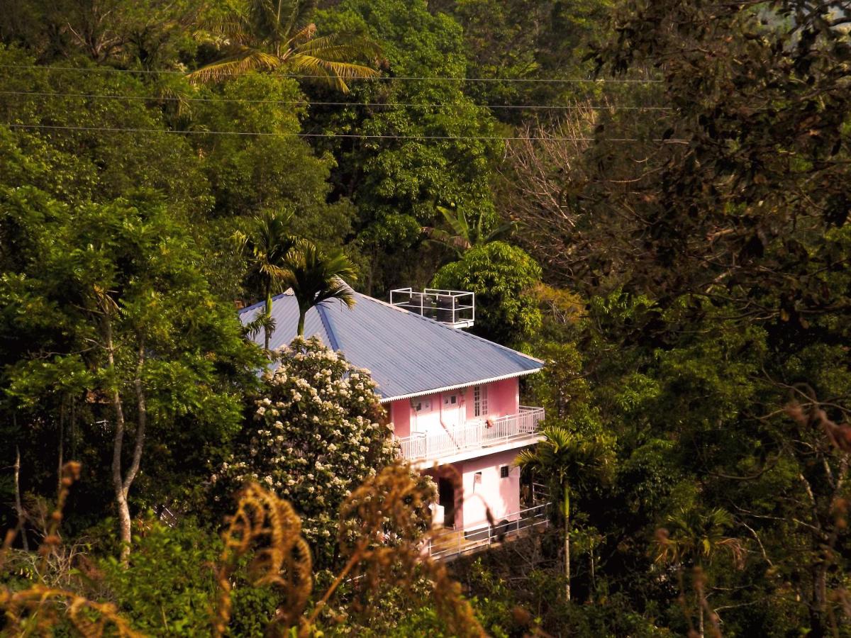 Drizzle Valley Cottage - Housity