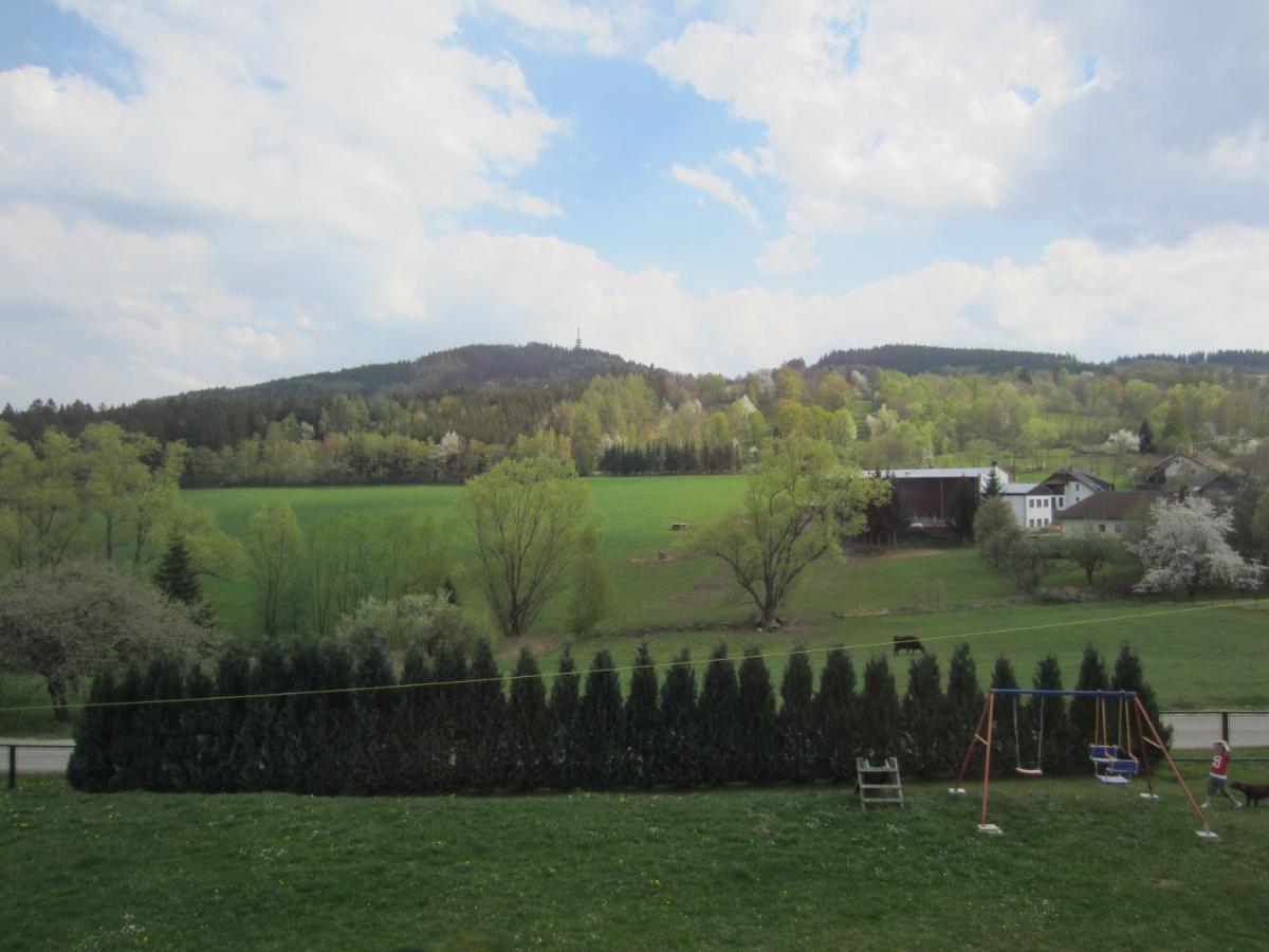 Šumavský domek v Záhoří - Housity