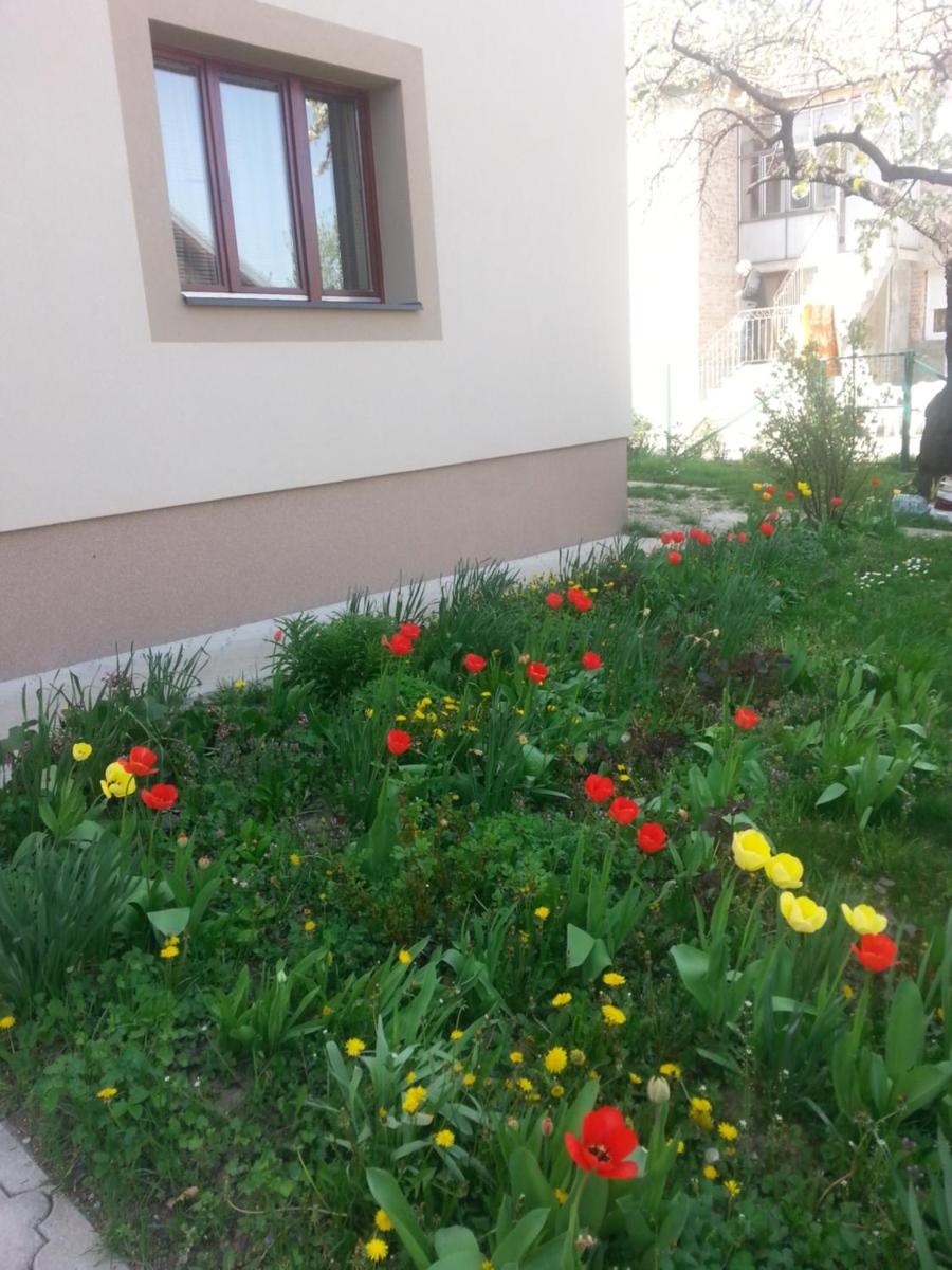 Sweet Dreams Apartment - Housity