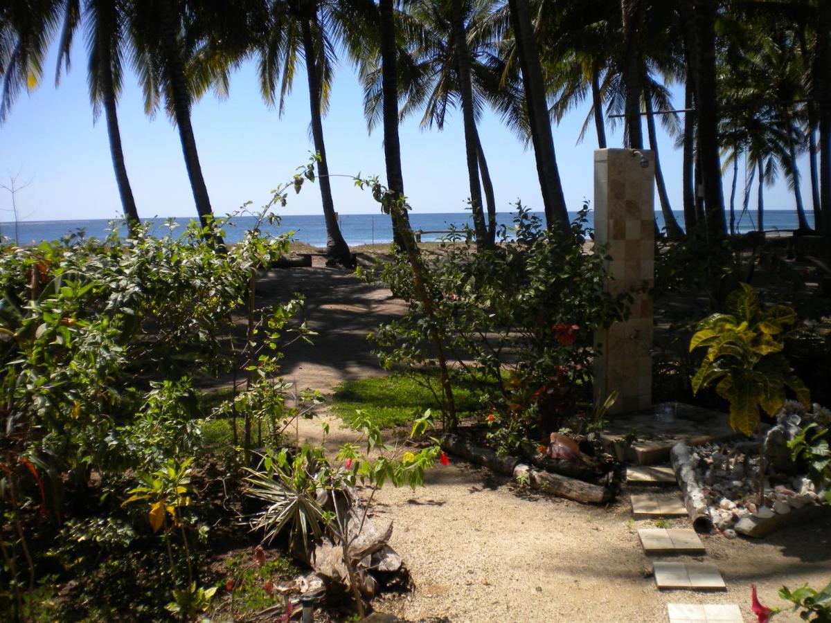Plumita Pacifica - Housity