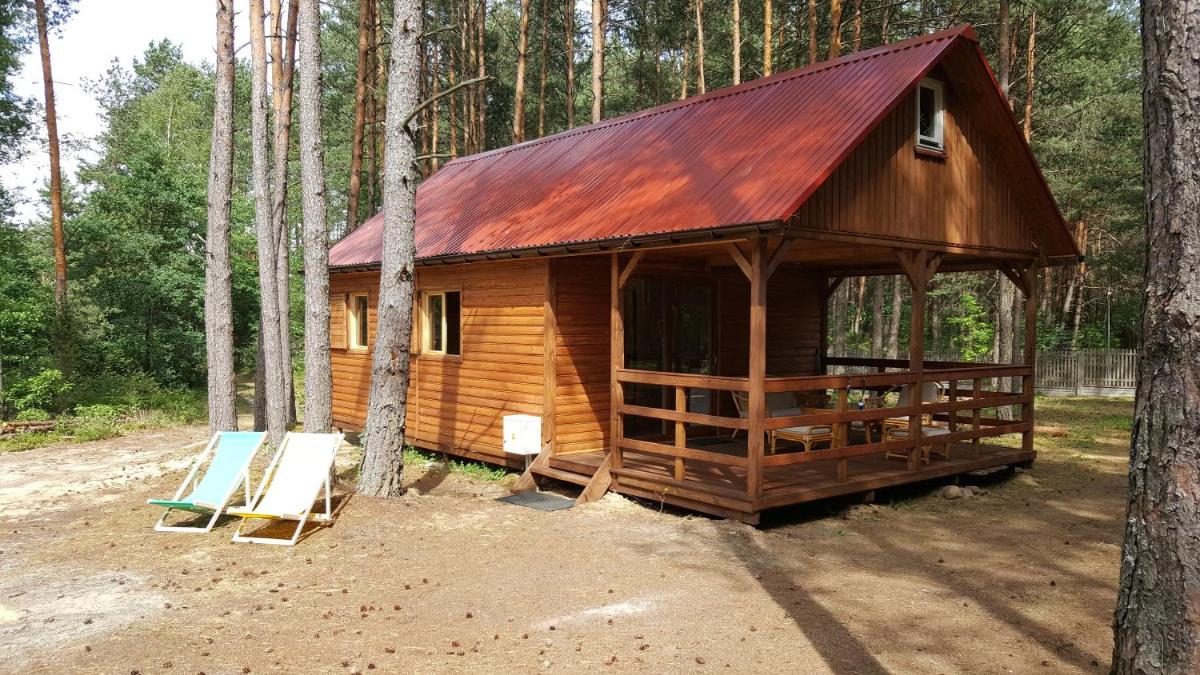 Domki w Sosnowym Lesie - Housity