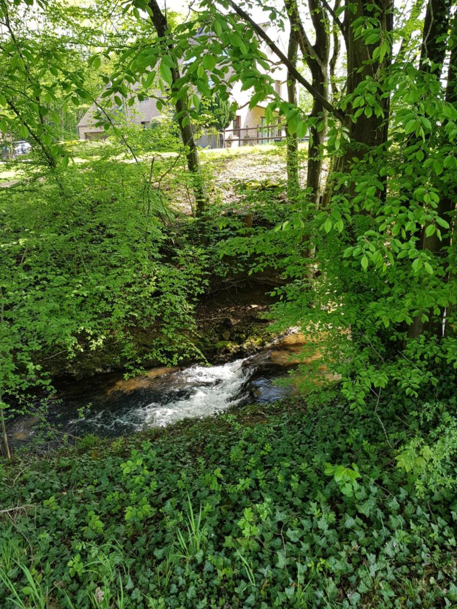 Gite des étangs de Saint Bale - Housity