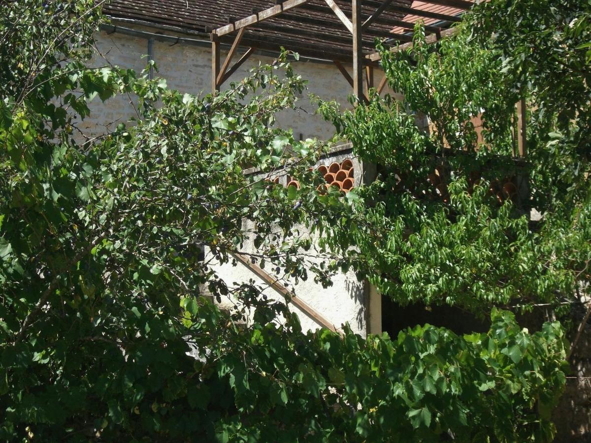 Gîte au cœur du Lot, la maison de Pauline - Housity