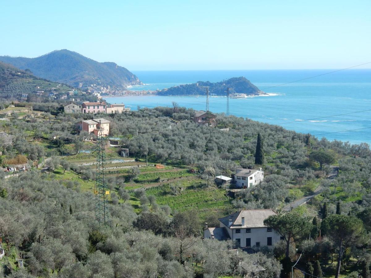 villa vista mare - Housity