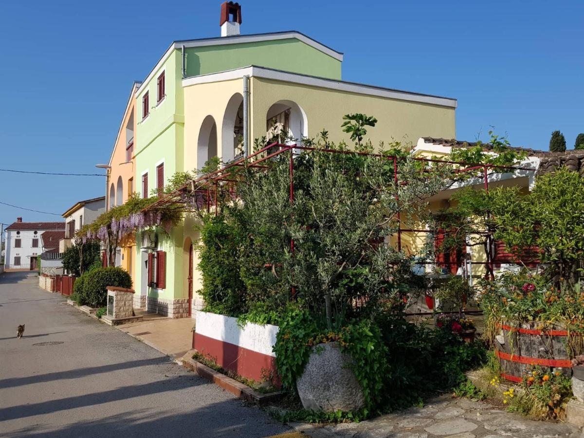 Apartments Judit - Housity