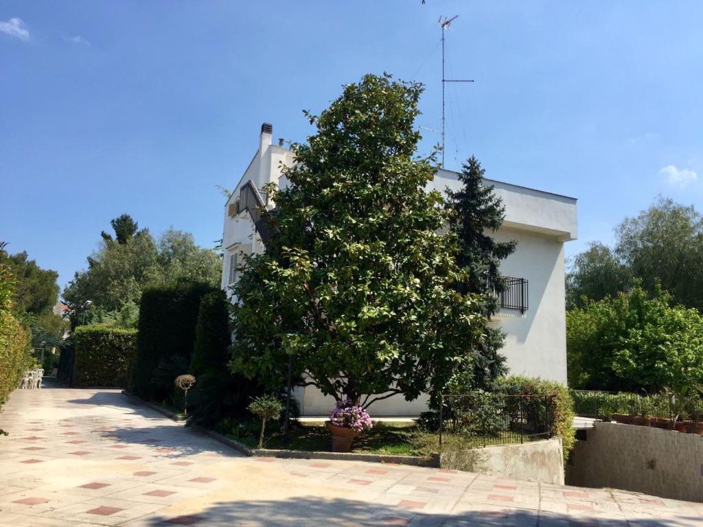 B&B Amendola - Hizvo