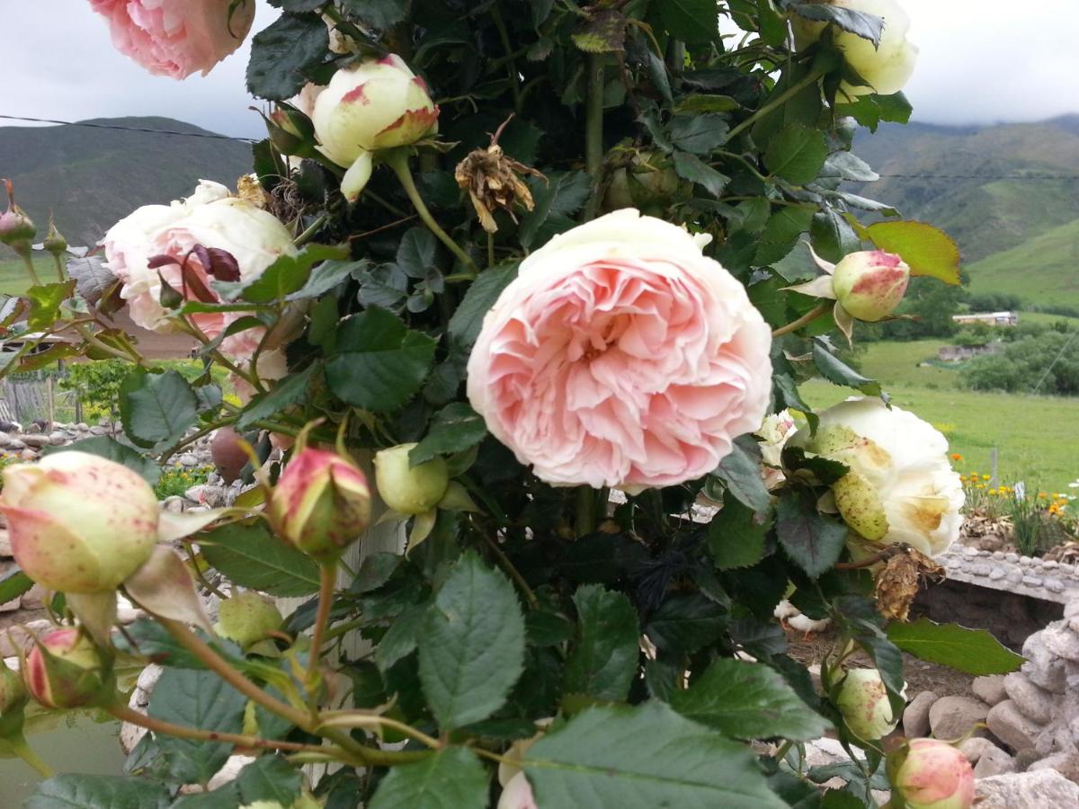 Villa Rural San Miguel de la Loma - Housity