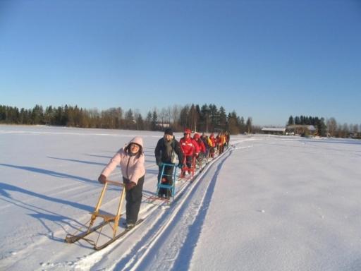 Haapaniemi Cottages - Housity