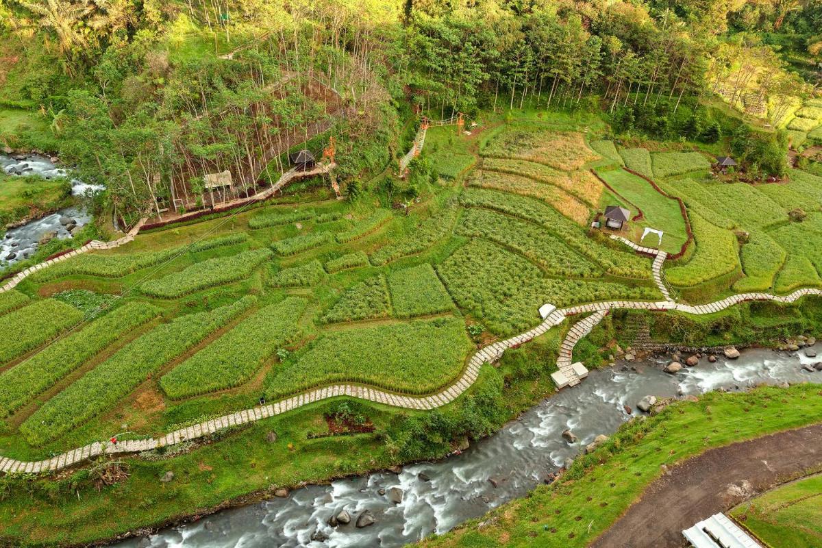 Suitetrails - Le Eminence Puncak Hotel Convention & Resort