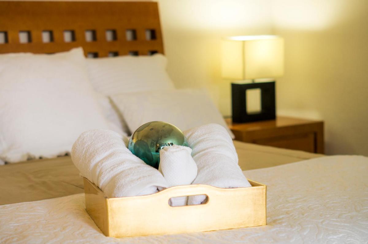 Suite 1-B El Rincón Garden House, Welcome To San Angel - Housity