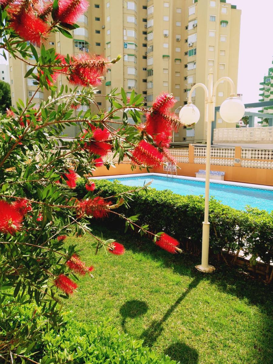 Suitetrails - Apartamento Antillas