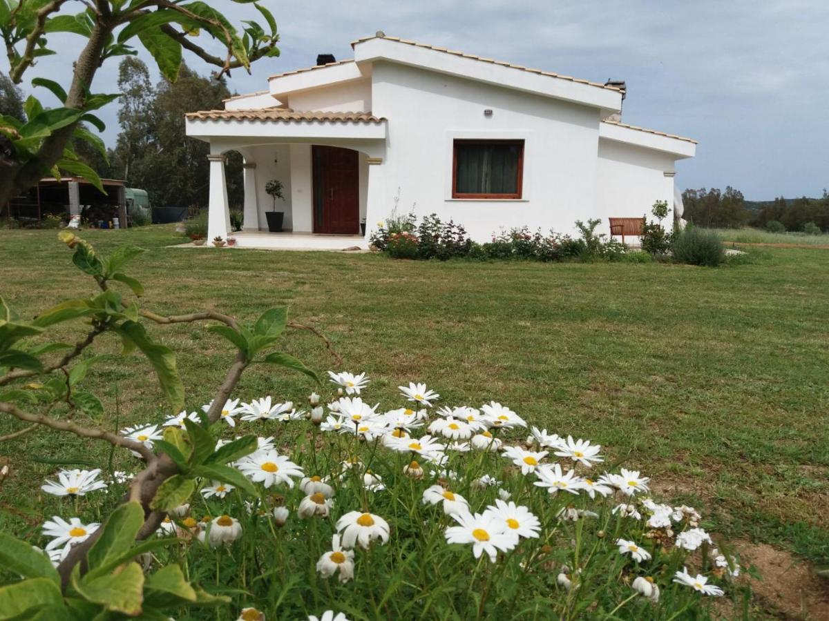 B&B Briosa - Housity