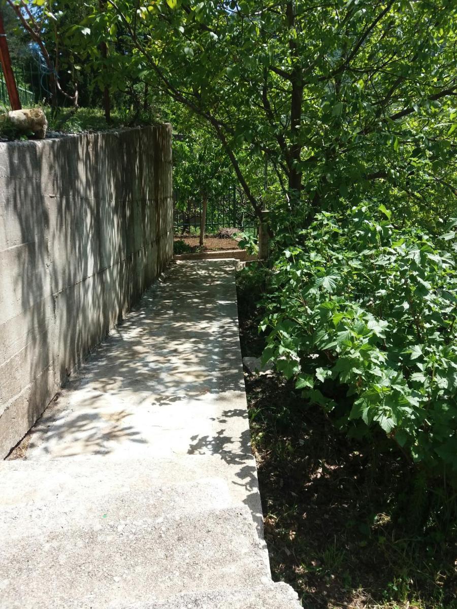 Kuća Lavanda - Housity
