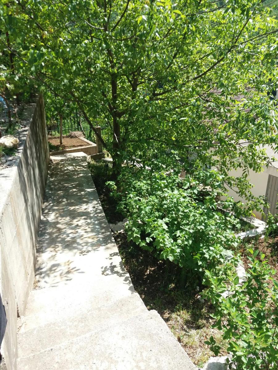 Kuća Lavanda - Housity