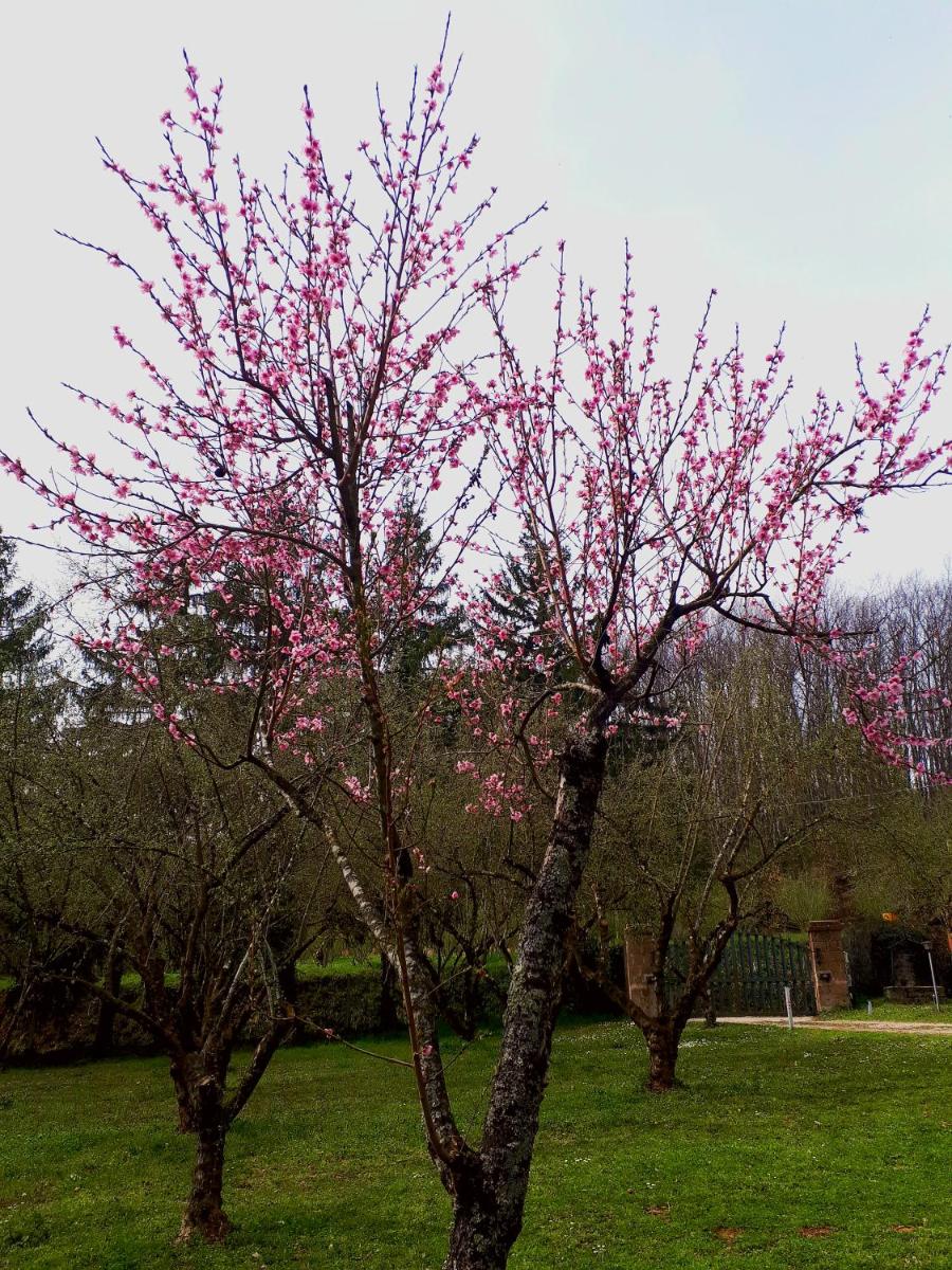 Bed and Breakfast Monticelli - Housity