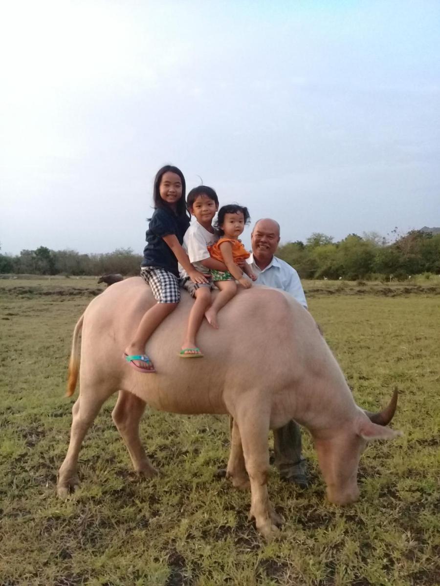 Wanlapa Farmstay - Housity