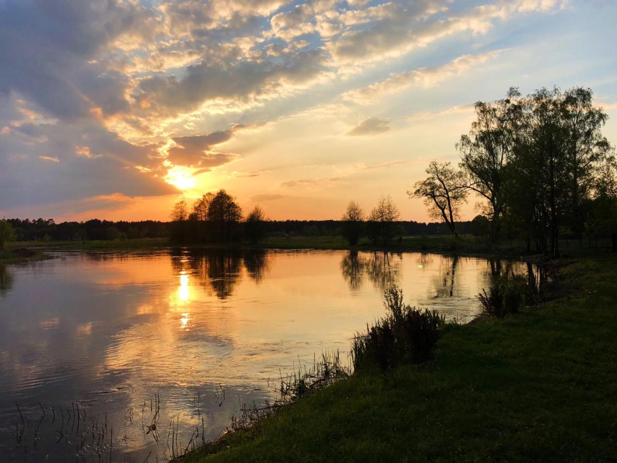 Sosnówka - dom wypoczynkowy na Kurpiach - Housity